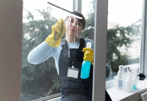 Nettoyage de vitres intérieures et extérieures à Dangé-Saint-Romain